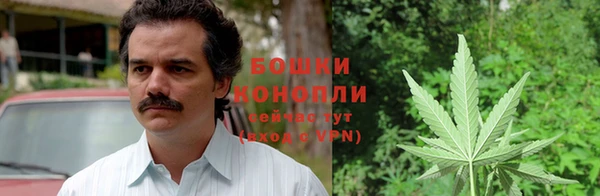 шишки Краснослободск