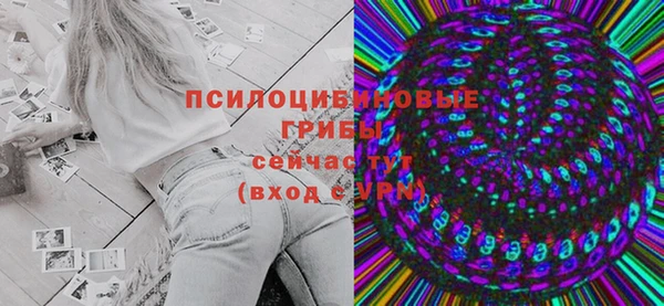 шишки Краснослободск