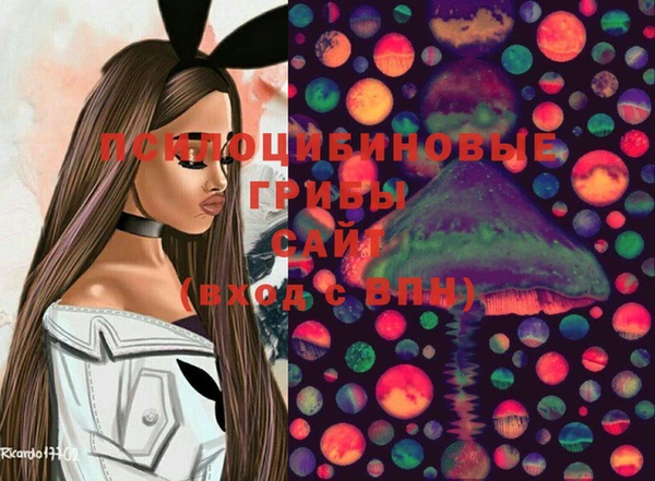 шишки Краснослободск